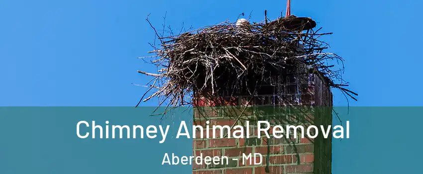  Chimney Animal Removal Aberdeen - MD