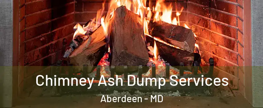 Chimney Ash Dump Services Aberdeen - MD