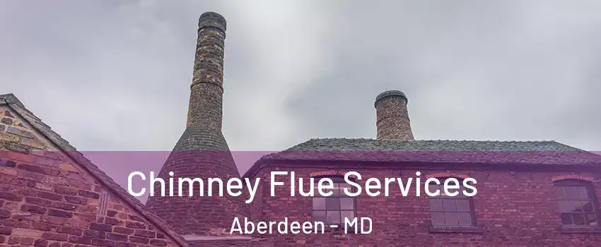  Chimney Flue Services Aberdeen - MD