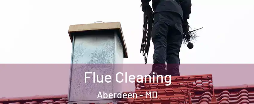  Flue Cleaning Aberdeen - MD