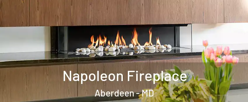  Napoleon Fireplace Aberdeen - MD