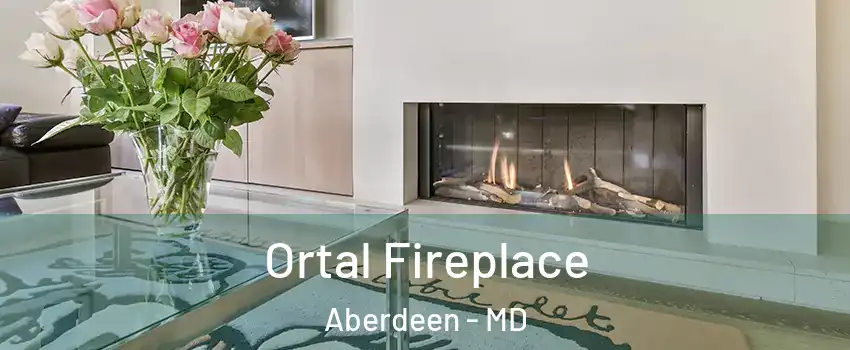  Ortal Fireplace Aberdeen - MD